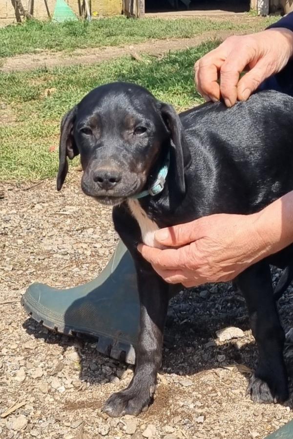 UNA MAMMA PER EVA Foto 3