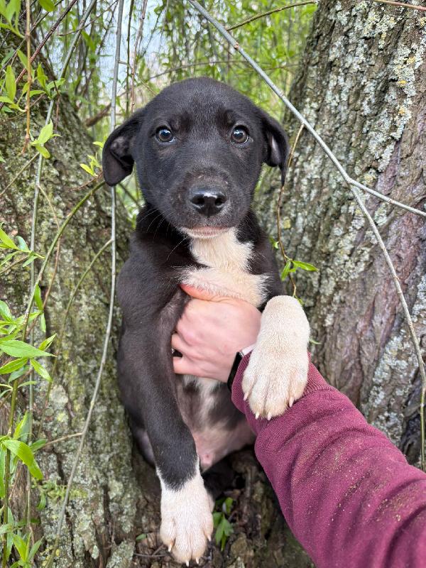 UNA MAMMA PER NOAH Foto 2