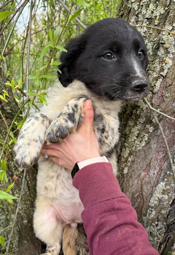 UNA MAMMA PER TRILLY Foto 2