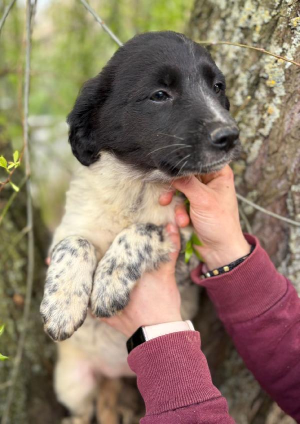 UNA MAMMA PER TRILLY Foto 3