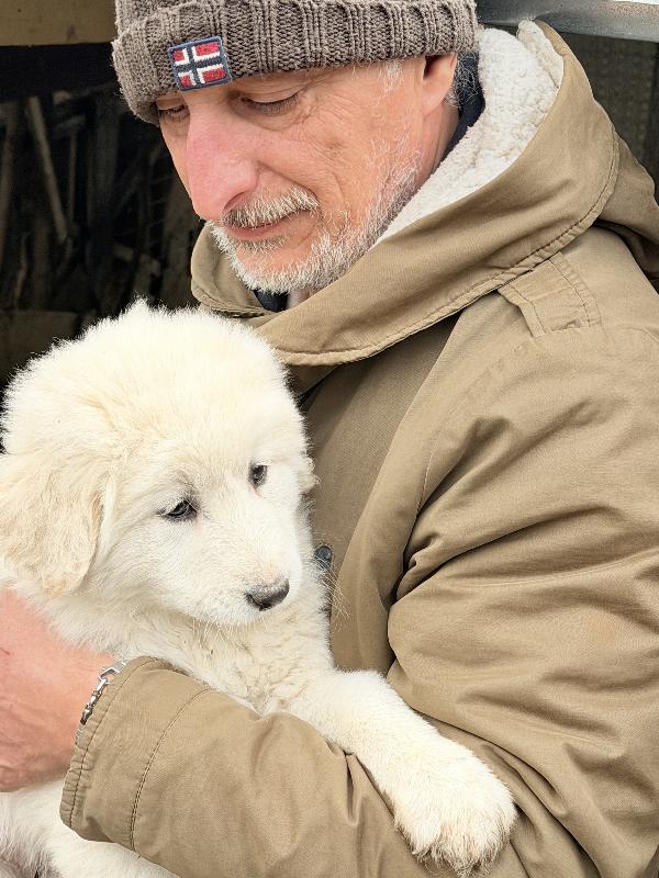 🌸🐾 dea 🐾🌸 magnifica cucciola in adozione  Foto 7