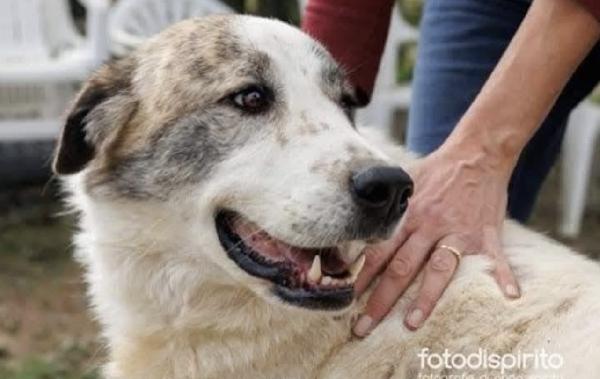 Madame Si Sta Lasciando Andare 