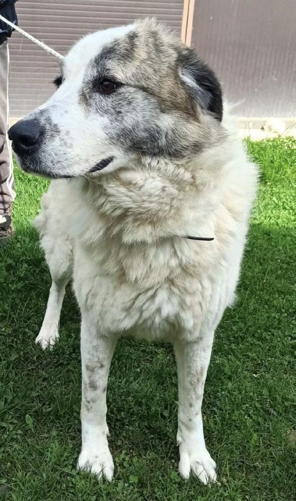 Madame si sta lasciando andare  Foto 2