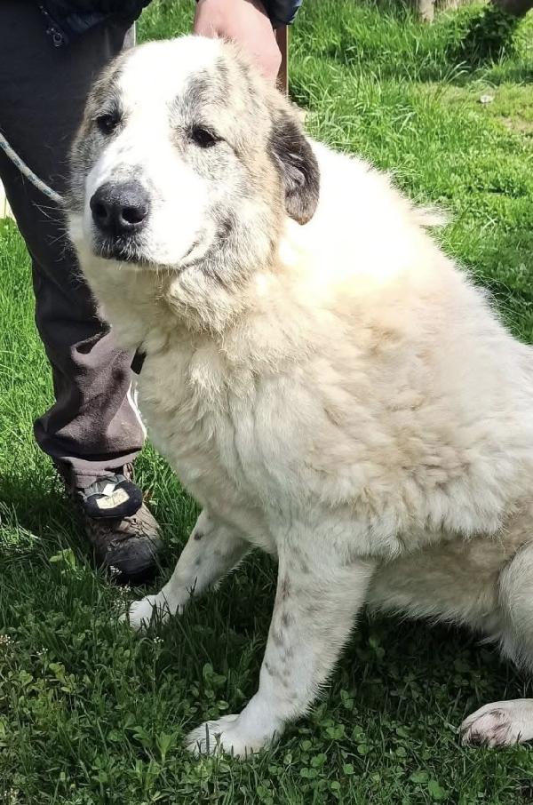 Madame si sta lasciando andare  Foto 3