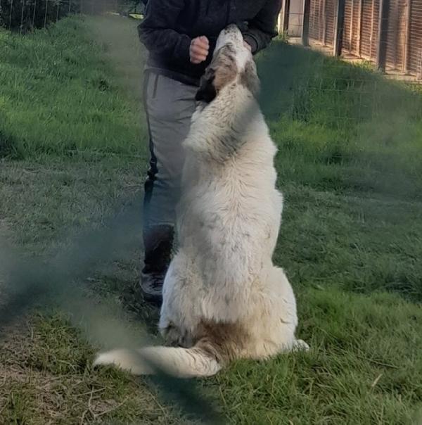 Madame si sta lasciando andare  Foto 4