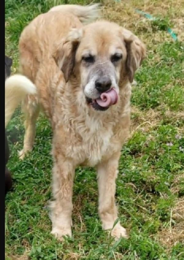 Sara anziana ha aspettato 1casa x tutta la vita.ROMA Foto 2