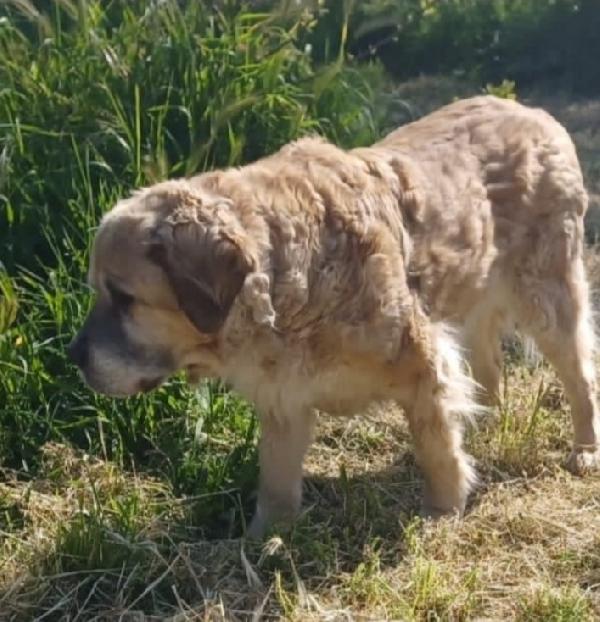 Sara anziana ha aspettato 1casa x tutta la vita.ROMA Foto 3