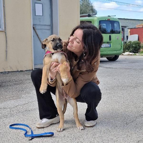 Piccola Fucsia Foto 3