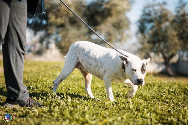 la passione di MAGDA Foto 4