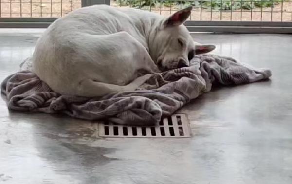 la passione di MAGDA Foto 5