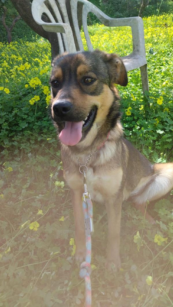 Tekila Aspetta Una Mamma 