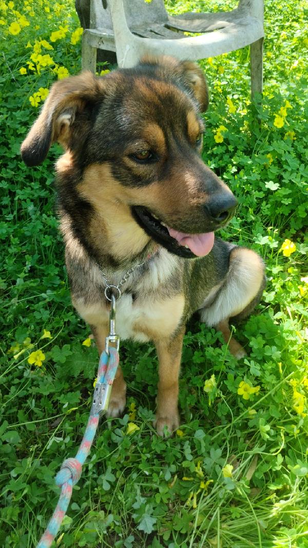 TEKILA ASPETTA UNA MAMMA  Foto 4