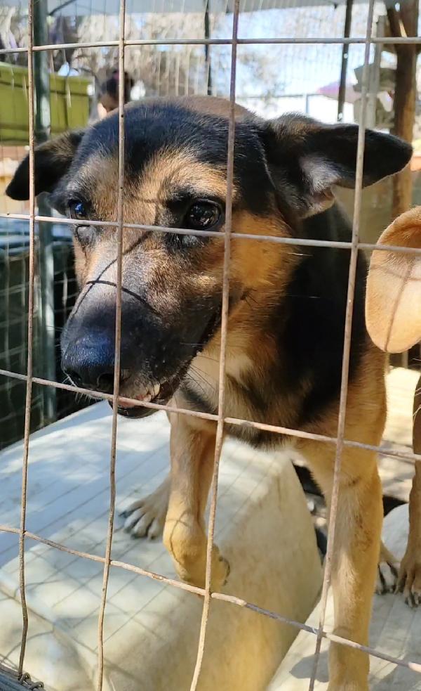 Una casa per GOKU  Foto 3