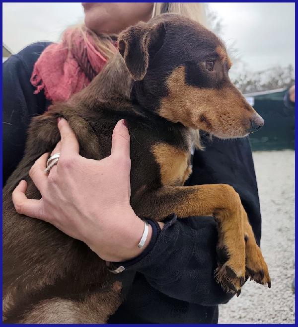 MOU TENERISSIMA PICCOLETTA DI 2 ANNI, CERCA COCCOLE ED UNA FAMIGLIA CHE LA AMI! Foto 4