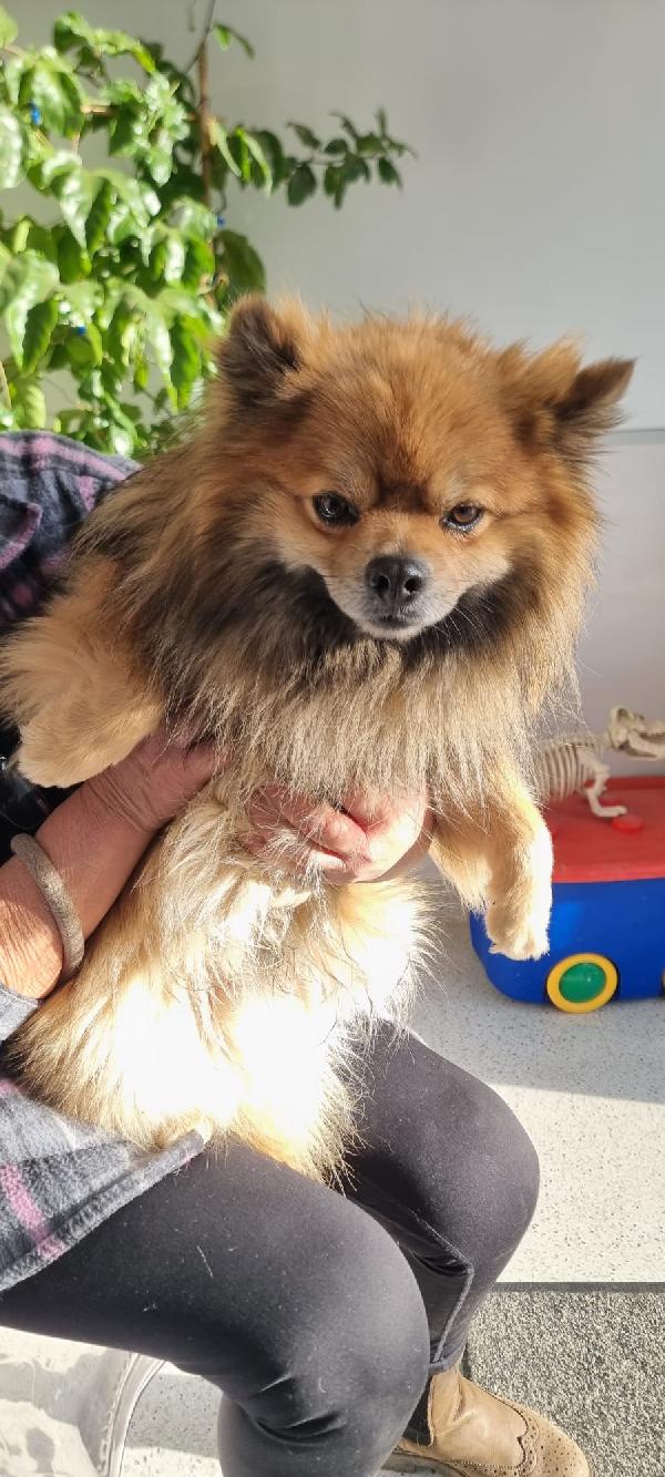 Pino❤️💙 Foto 2