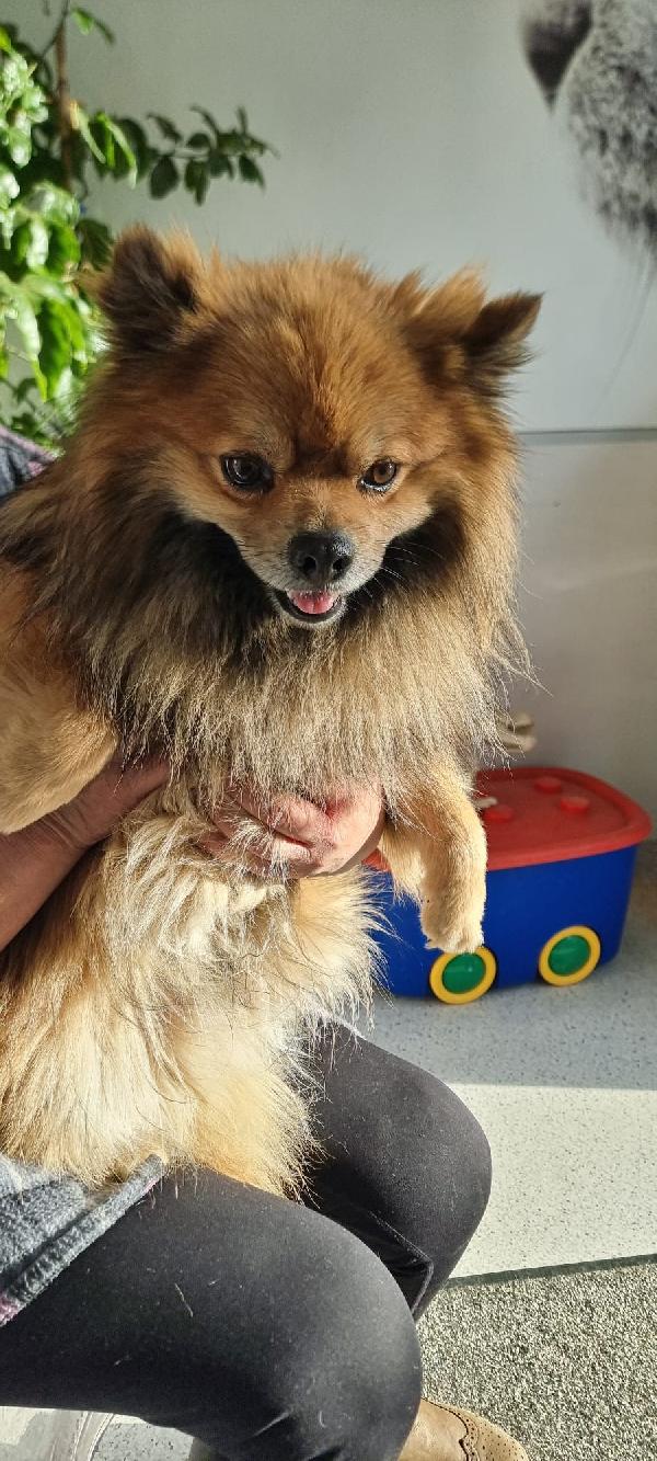 Pino❤️💙 Foto 6