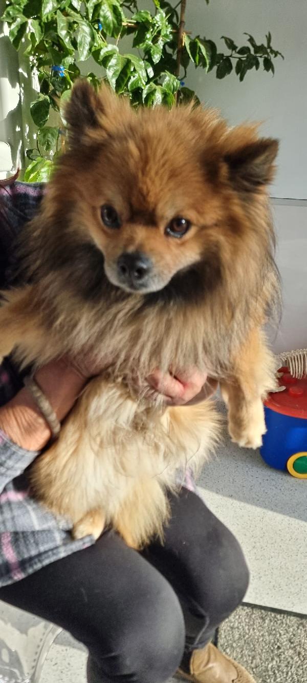 Pino❤️💙 Foto 7