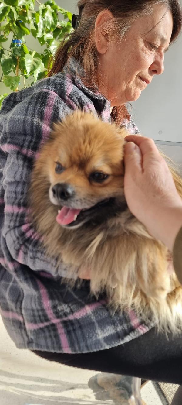 Pino...piccolo E Con Tanta Voglia Di Amare