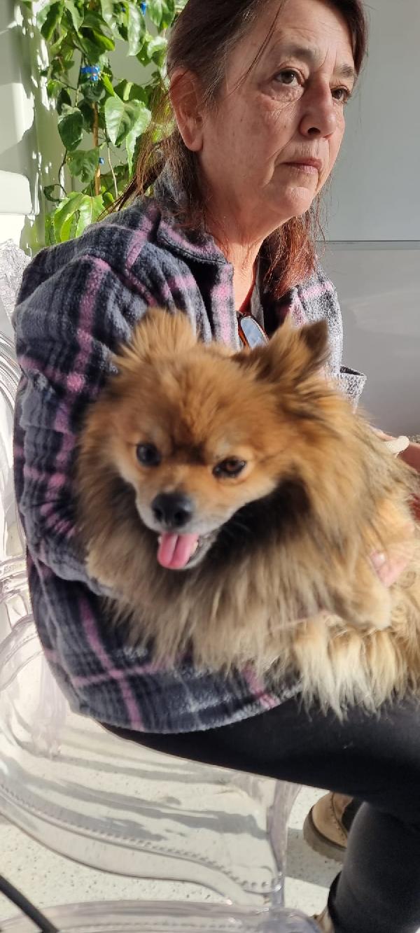 Pino...piccolo e con tanta voglia di amare Foto 5