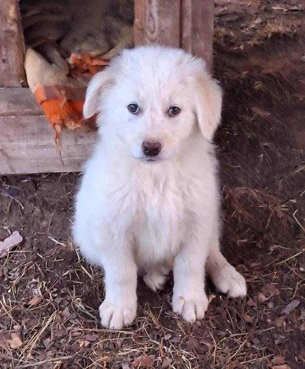 Eros🏩🦮🐾 Foto 3