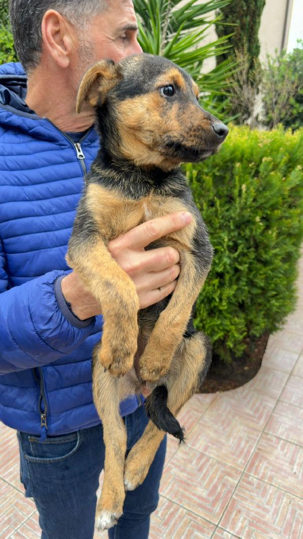 Corinne🌸🍀🐾 3 Mesi