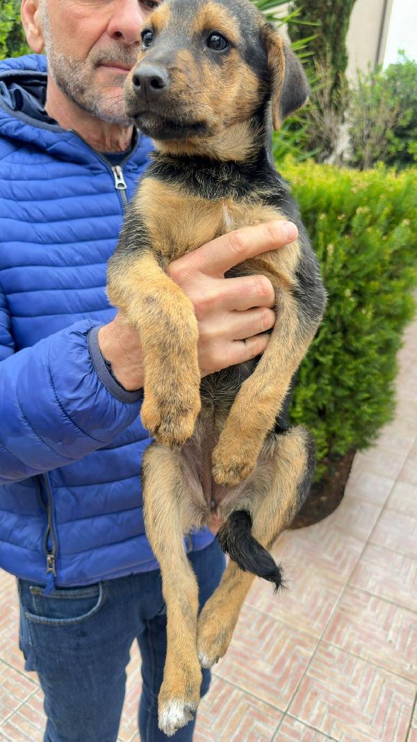 Corinne🌸🍀🐾 3 mesi Foto 2