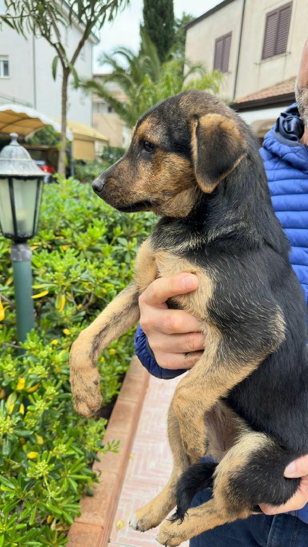 Corinne🌸🍀🐾 3 mesi Foto 3