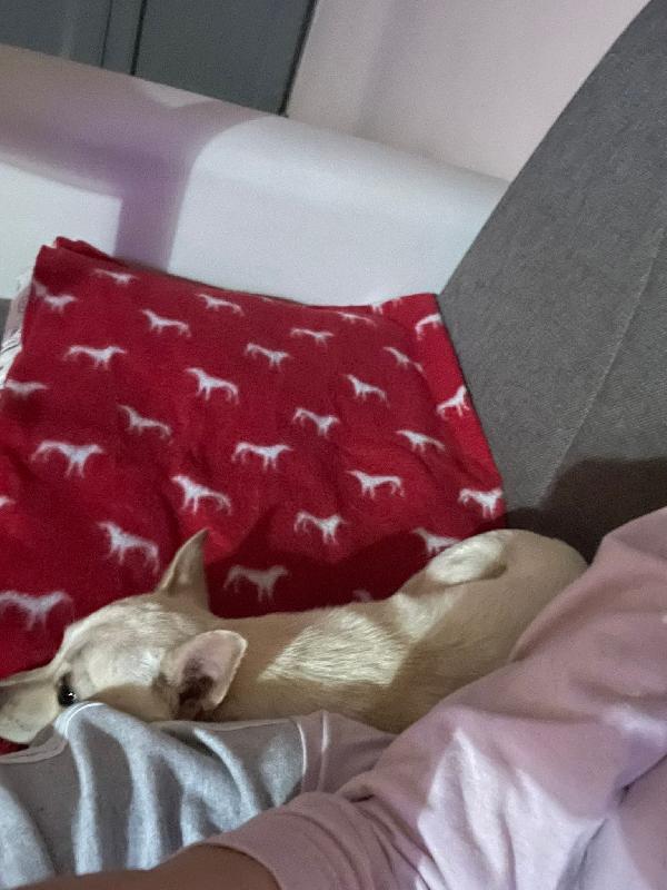 LA PICCOLA DEA Foto 4