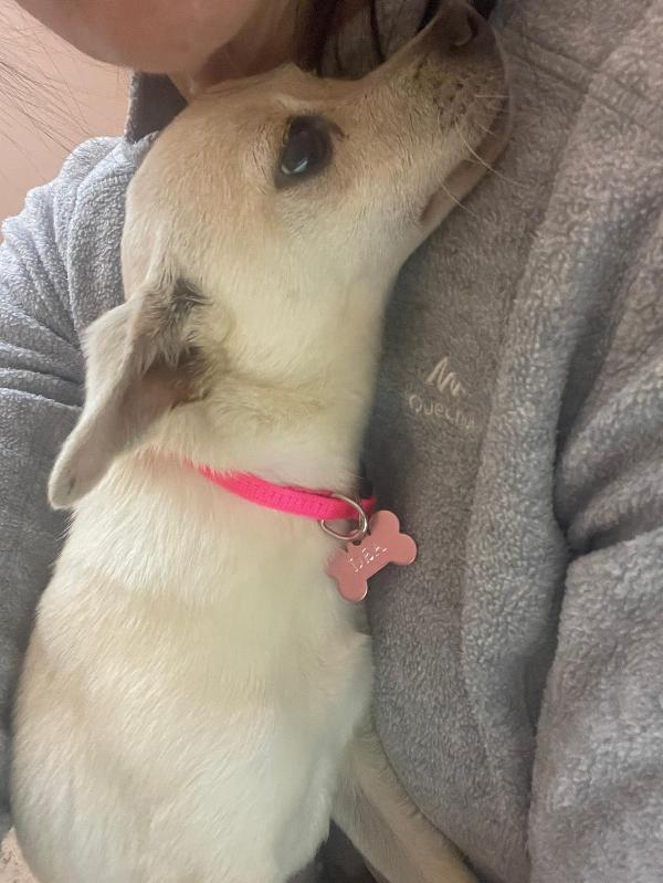 LA PICCOLA DEA Foto 6