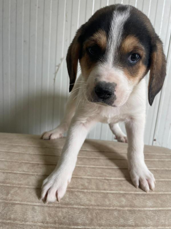 ELETTRA MIX SEGUGINA Foto 6