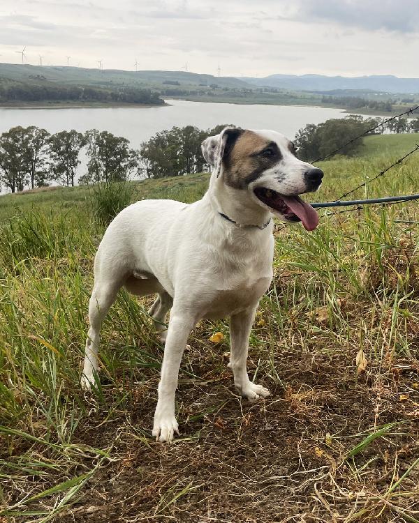 Ofelia, 3 anni, dolcissima ed elegante Foto 2