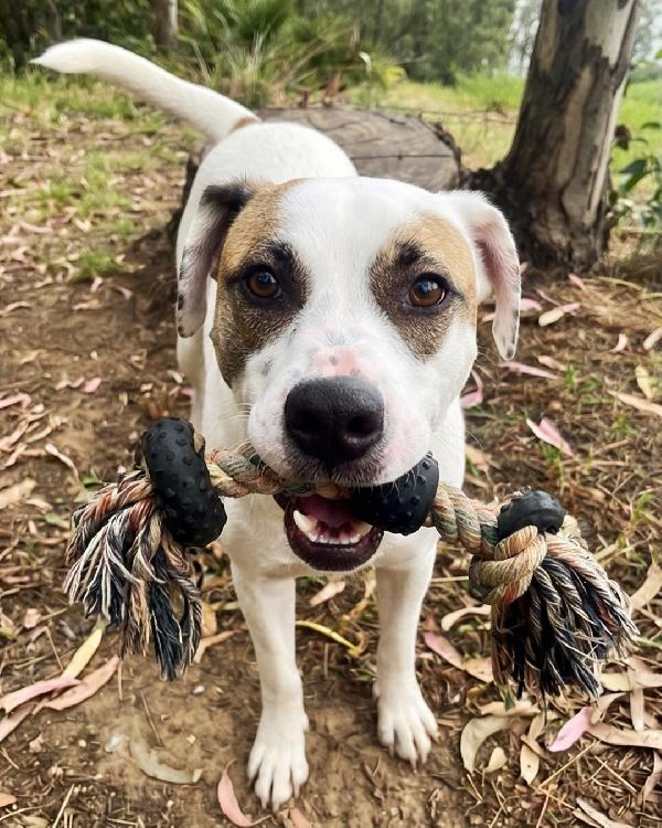 Ofelia, 3 anni, dolcissima ed elegante Foto 5