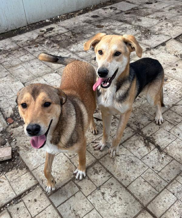 Salvami, nessuno mi vuole Foto 5