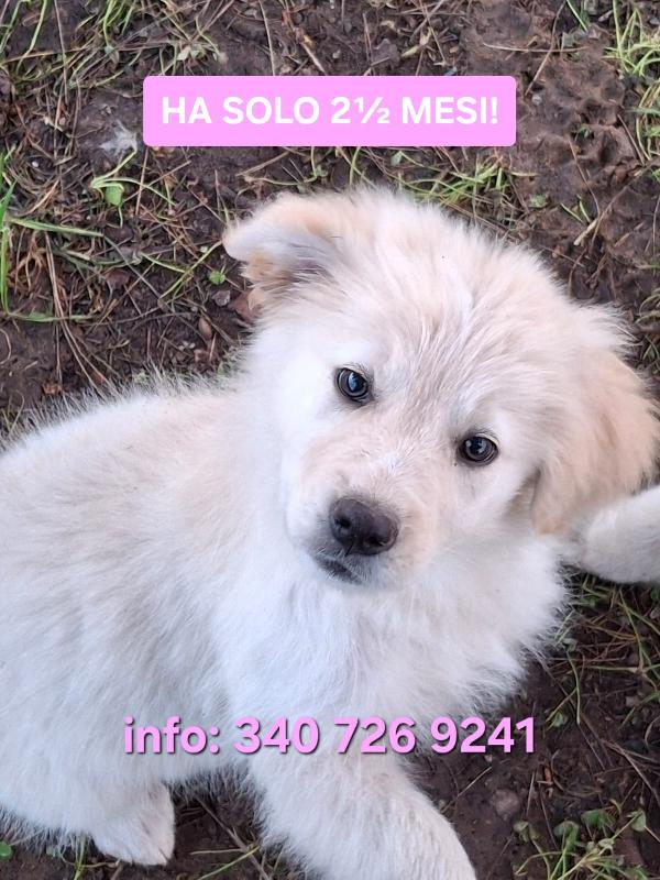 Aura🏩🌹 2 Mesi E Mezzo