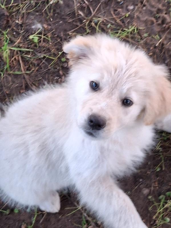 Aura, Aspetta La Sua Mamma 