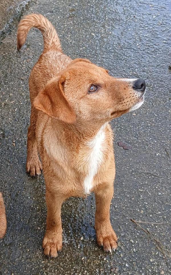 Back, occhi che incantano 🏹 Foto 2