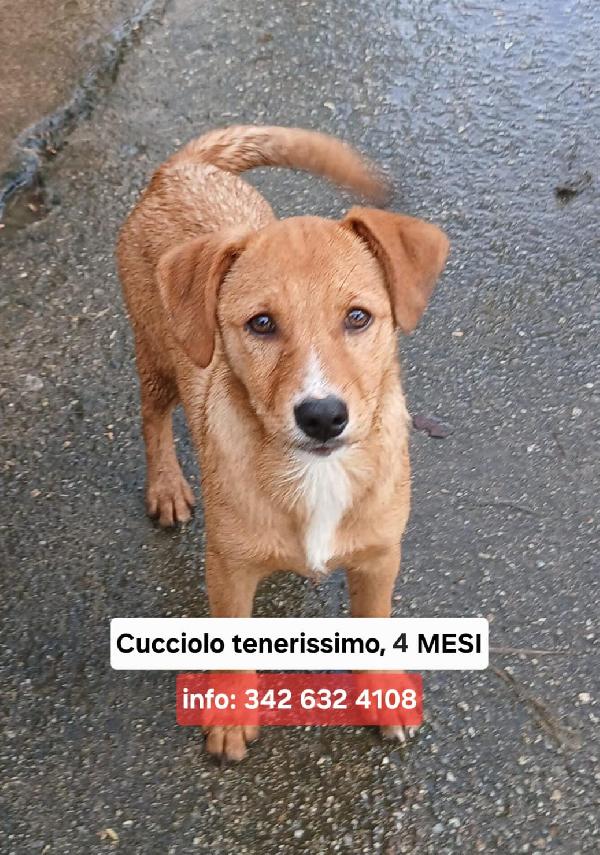 Back, occhi che incantano 🏹 Foto 6