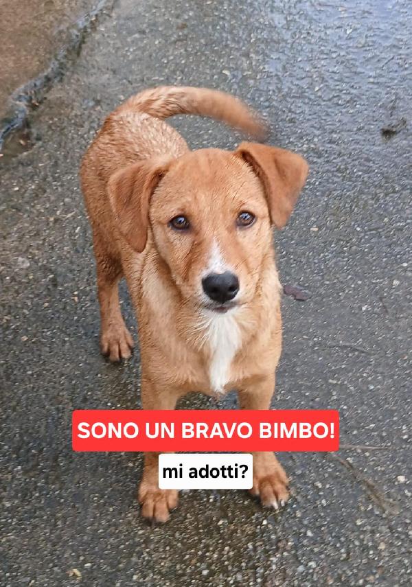 Back, occhi che incantano 🏹 Foto 7