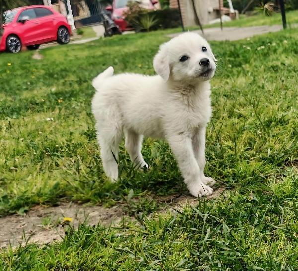 Yoshi💞🦕💞 Foto 3