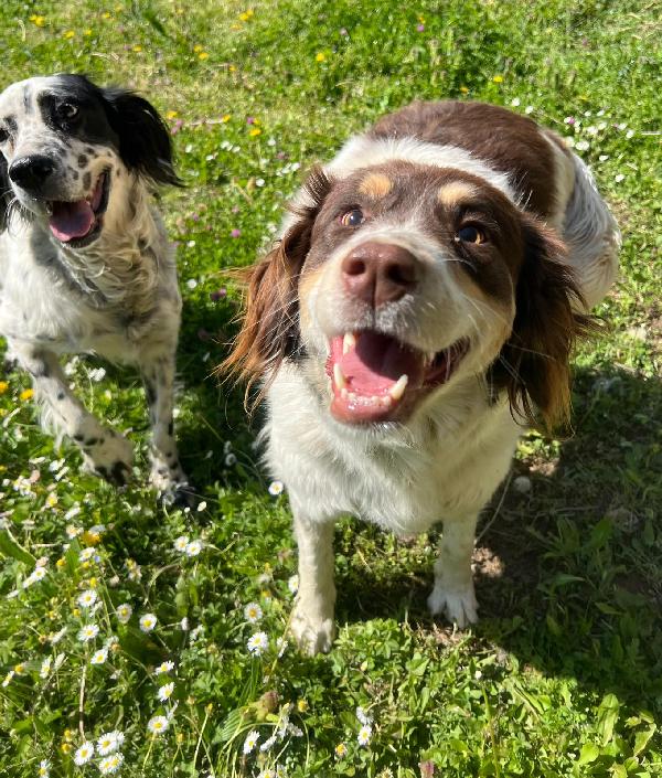 Molly una montagna di zucchero  Foto 2