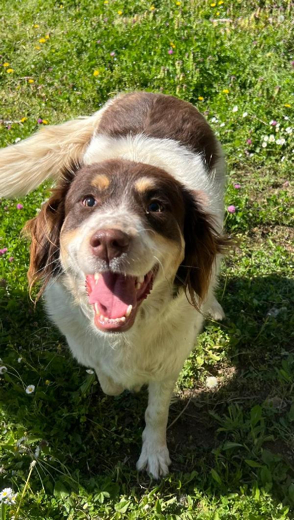 Molly una montagna di zucchero  Foto 3