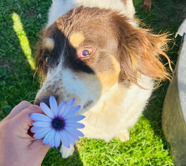 Molly una montagna di zucchero  Foto 4