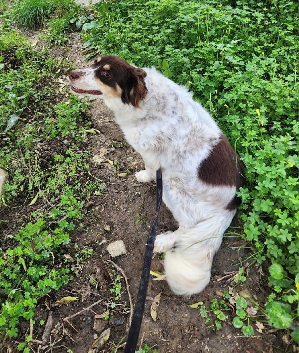 Molly una montagna di zucchero  Foto 5