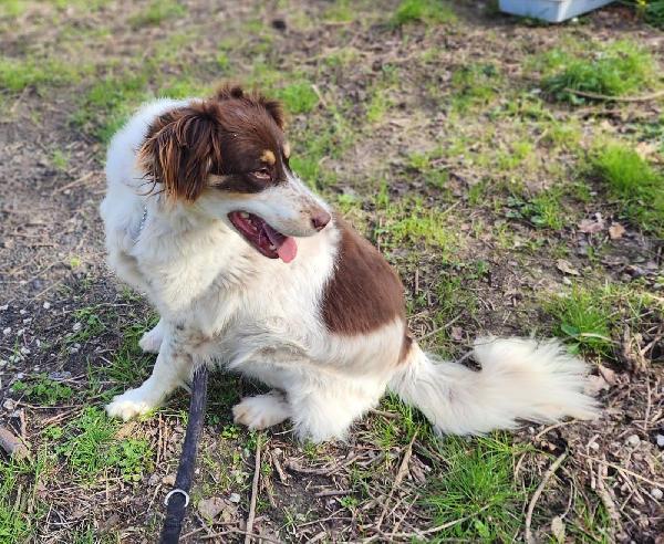 Molly una montagna di zucchero  Foto 6