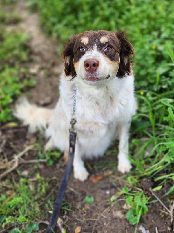 Molly una montagna di zucchero  Foto 7