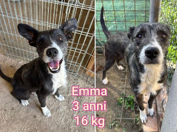 Piccolini In Adozione 