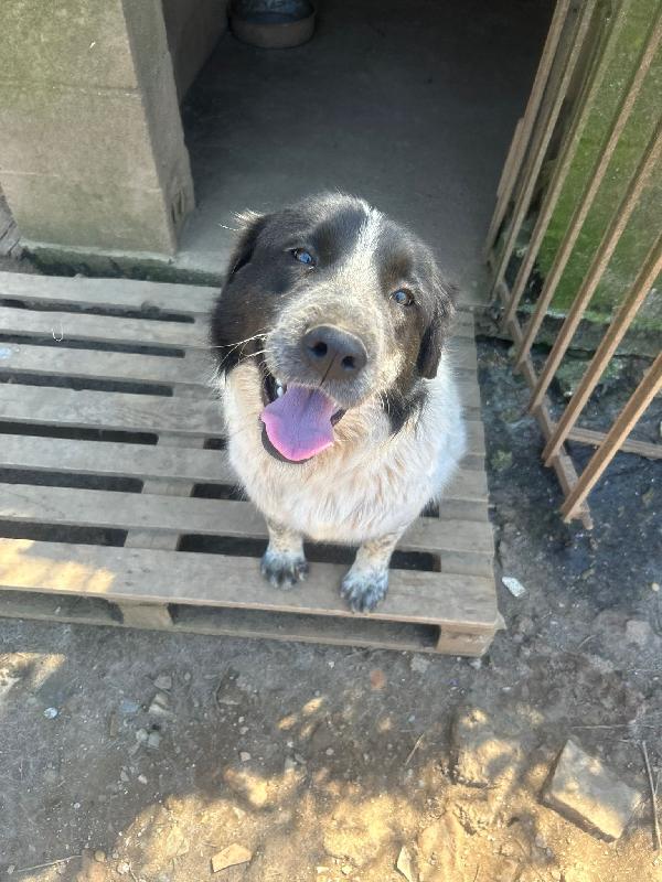 Silvy Splendida Dolce Giovanotta Cerca Casa 