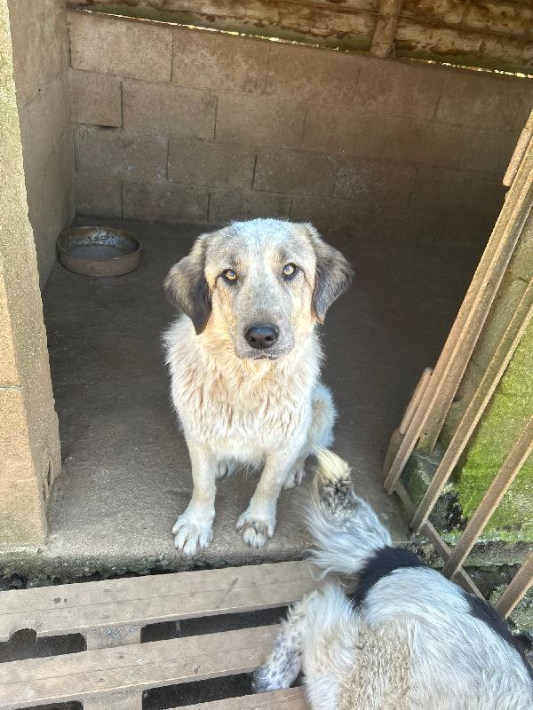 Gracy Splendida Dolce Giovanotta Cerca Casa 