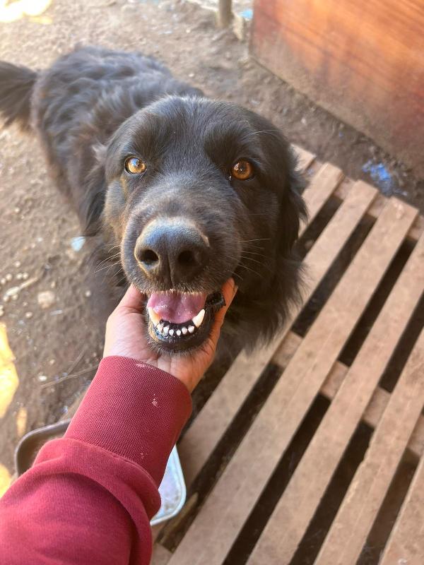 Masha Incantevole Giovanotta Cerca Casa 