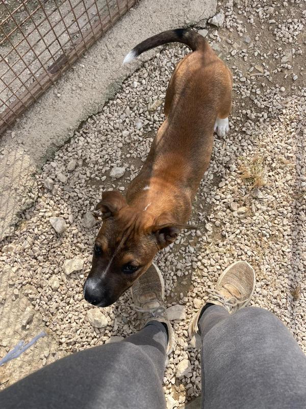 LO SPLENDIDO CHOCO ASPETTA TE Foto 7